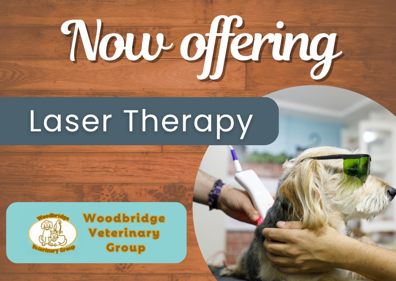 Carousel Slide 1: Book an Appointment>>
