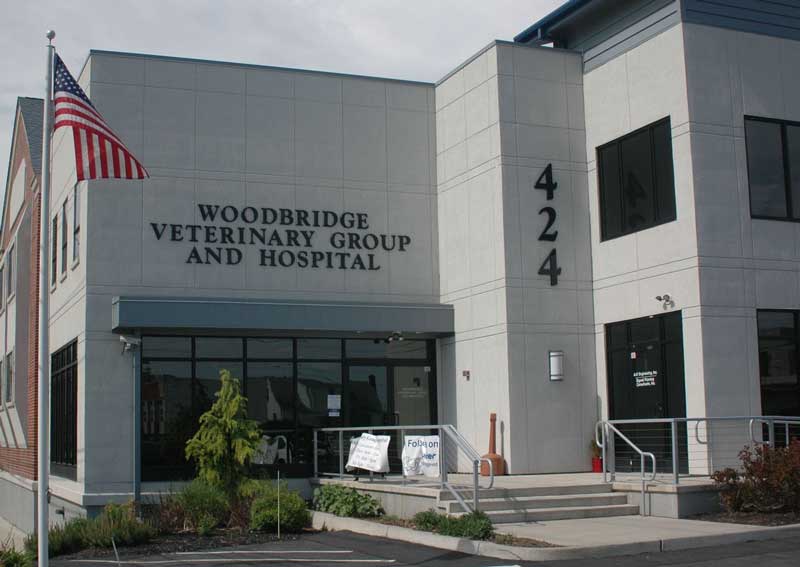 Carousel Slide 3: Learn more about us!